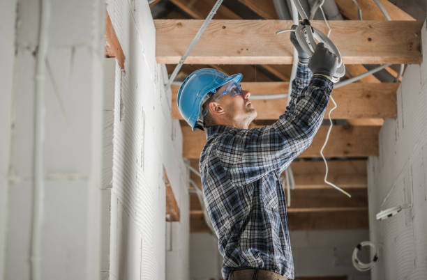 Best Electric Panel Repair  in Iota, LA